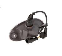 Feu latéral DT SPARE PARTS 7.25299 pour IVECO TRAKKER I 7.79 2004-2012