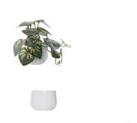 Feuillage en pot à base de plastique pour projets de design d'intérieur nécessitant un langage visuel cohérent Plusieurs unités (D)