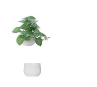 Feuillage en pot à base de plastique pour projets de design d'intérieur nécessitant un langage visuel cohérent Plusieurs unités (B)