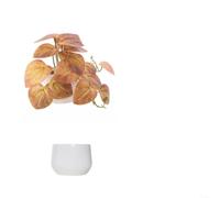 Feuillage en pot à base de plastique pour projets de design d'intérieur nécessitant un langage visuel cohérent Plusieurs unités (G)