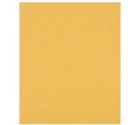 Feuille abrasive Expert C470 230x280mm G120 pour ponçage manuel - BOSCH - 2608900961 G