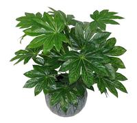 Feuille Artificielle Aralia Japonaise 60 cm Pot en Plastique Noir