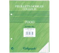 Calligraphe Feuillets mobiles perforés 7885C Verts sous film 17×22 cm 100 pages grands carreaux 80 g