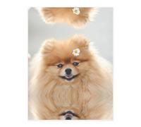 Feuille d'autocollants A4 en forme de chien avec fleur - Impression intégrale - Imperméable - Effet 3D - Idéal pour ordinateurs portables, verre, métal, loisirs créatifs, décoration d'intérieur