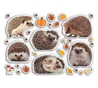Feuille d'autocollants A5 en vinyle Hérisson - Animaux sauvages sauvages Scrapbooking Décoration de voyage Étiquette Amis Filles Garçons Esthétique #80788