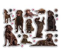 Feuille d'autocollants A5 en vinyle motif labrador chocolat - Chiens Chiens Chiots Animaux Animaux Scrapbooking Décoration Voyage Étiquette Amis Filles Garçons Esthétique #80803