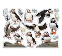Feuille d'autocollants A5 en vinyle motif macareux - Oiseaux, animaux sauvages, scrapbooking, décoration de voyage, étiquette d'amis, filles, garçons, esthétique #80789