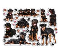 Feuille d'autocollants A5 en vinyle Rottweiler - Chiens Chiens Chiots Animaux Animaux Scrapbooking Décoration Voyage Étiquette Amis Filles Garçons Esthétique #80811