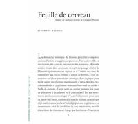 Feuille de Cerveau Autour de Qq Œuvres de Giuseppe Penone - Stéphane Vignon - Lettre Volee - broché - Etude