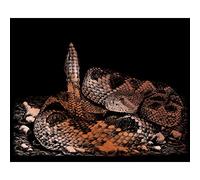 Feuille de cuivre Gravure Art Kit 20,3 x 25,4 cm -Diamond dans Le Rough