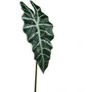 Feuille de flèche artificielle Alokasie Deko Plante 74cm Vert