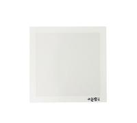 Feuille de four flexible perforée en silicone facile à nettoyer pour biscuits, pain, plaque de cuisson pour restaurant