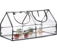 Feuille de tomate transparente, RD25648