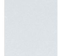 Feuille Feutre 2 mm Gris Perle