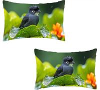 Feuille Housse De Coussin Velours, Lot de 2 en Canapé Taie d'oreiller Doux Décoratives Extérieur Coussincarré, Oreiller Rectangulaire Neutre, pour Salon Jardin Fauteuil Lit Oiseau 50 x 70 cm I0P-79