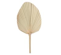 FEUILLE PALMIER SÉCHÉE ÉVENTAIL 70X33CM NATURE Beige, Ivoire, Crème, Écru, Naturel, Taupe