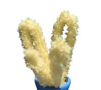 Feuille torsadée 1 m, bricolage artisanal, velours corail, tige chenille, cure-pipe for chien et chat mignon pour Créer Toutes Sortes Travaux Manuels(05 Light Yellow,2pcs)