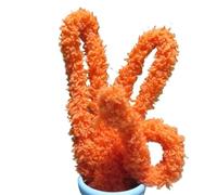 Feuille torsadée 1 m, bricolage artisanal, velours corail, tige chenille, cure-pipe for chien et chat mignon pour Créer Toutes Sortes Travaux Manuels(16 Orange Yellow,1pcs)