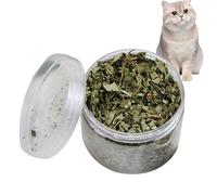 Feuilles D' À Chat Naturelles - 40 G D' À Chat Séchée Moulue Pour Chats, Friandises Dentaires Pour Le Nettoyage Des Dents | Collations Apaisantes À La Menthe Pour Chats Pour La Détente, L'en