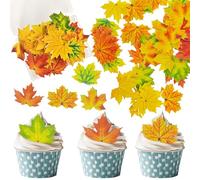 Feuilles d'automne Cake Topper,Decoration Gateau Automne 48pcs,Décorations Comestibles Gâteaux Cupcake Toppers pour Thanksgiving,Thème Automne Fête,Multicolore