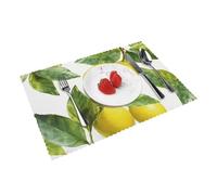 Feuilles De Branche De Citronnier Sets Tables Lot De 4 Anti-Taches Set Tables Résistant À La Chaleur Sets De Table pour Cuisine Salle À Manger Extérieur 30X45Cm