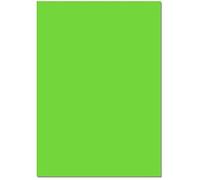 Feuilles de carton - FOLIA BRINGMANN - 220 g/m² - 50 x 70 cm - Lot de 25 - Vert clair