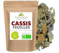 Feuilles de cassis 100% naturel, idéal pour Infusion tisane organique 100g - Plantes & Epices