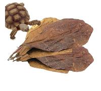 Feuilles de catapa pour aquariums - feuilles d'amande pour poisson de combat, feuilles d'approvisionnement en eau | Les feuilles d'aquarium Catapa-Mandel créent un environnement naturel pour les creve