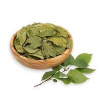 feuilles de cerisier séchées » Nourriture naturelle pour lapin pour une plus grande