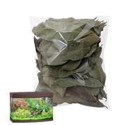Feuilles de crevettes betta - 50 pièces feuilles naturelles pour poissons betta | Équilibre du pH pour aquariums | Feuilles de Longan pour traiter les tortues de la peau pourrie et so