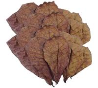 Feuilles de crevettes Betta - Poisson Betta Feuilles d'amande | Accessoires pour grenouille, amandes, feuilles, conditionneur d'eau pour aquarium, aquarium à tortues, poissons pour tortues, crevettes,