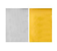 Feuilles de feuille d'or - Golden Gilding Arts Supply, papier d'aluminium de 11,8 x 15,7 pouces, texture métallique réfléchissante avec finition fine | Film décoratif pour peinture et décoration de ma