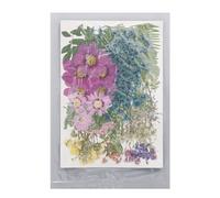 Feuilles de fleurs séchées Kit de matériau de fleurs pressés bricolage Artisanat Scrapbooking Nail Art Jewelry Making polyvalent pour divers projets