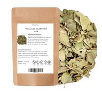 Feuilles de JUJUBIER BIO - SIDR