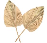 Feuilles de Palmier Séchées Décor Boho Rustique 2 Pièces, de Cœur | Prêtes pour Compositions, sans Arrosage ni Entretien, pour Murs Floraux, Couronnes et Ambiances Plage