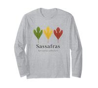 Feuilles de Sassafras - Amoureux des Arbres Sassafras albidum Manche Longue