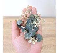 Feuilles d'Eucalyptus séché naturel et Gypsophile - Confettis de Mariage blanc et vert - 1 litre - Décoration de table végétale et Champêtre - France