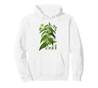 Feuilles d'ortie Bio Urtica dioica Plante botanique d'ortie Sweat à Capuche