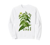 Feuilles d'ortie Bio Urtica dioica Plante botanique d'ortie Sweatshirt