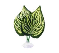 Feuilles Repos Betta,Grotte De Reproduction Sécurisée Et Facile À Installer,Feuilles de Poisson simulées pour Petit Aquarium - adapté à dortoir Bureau Appartement Chambre séjour