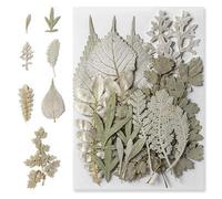 Feuilles Séchées,Fleur Sechees Decoration,Bouquets de Fleurs Séchées Pressées Naturelles,Idéal pour Bijoux, Bougies, Savons, Manucures, Étuis Téléphoniques & Loisirs Créatifs,21 Pièces,Argentée