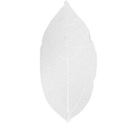 Feuilles squelettes - Blanc - 6-8 cm - 20 pcs