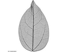 Feuilles squelettes - Noir - 6-8 cm - 20 pcs noir G