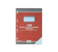 Feuillets mobiles - CONQUERANT - 21x29,7 cm - 100 pages - Couleur bleu - Grammage 80g