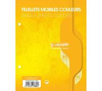 Feuillets mobiles sous film 7000 17x22 cm 100 pages perforées 2 trous grands carreaux 80 g