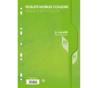 Feuillets mobiles sous film 7000 A4 100 pages perforées grands carreaux 80 g