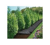 Feutre de jardin Cap Vert BRI-016111