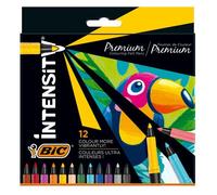 Feutre Dessin Intensity Premium X12 Bic