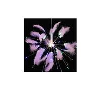 Feux d'artifice de plumes lampe décoration guirlande lumineuse éclairage extérieur la cour - multicolore