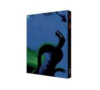 Feux Édition luxe en coffret - Lorenzo Mattotti - Casterman - cartonné - Bande dessinée